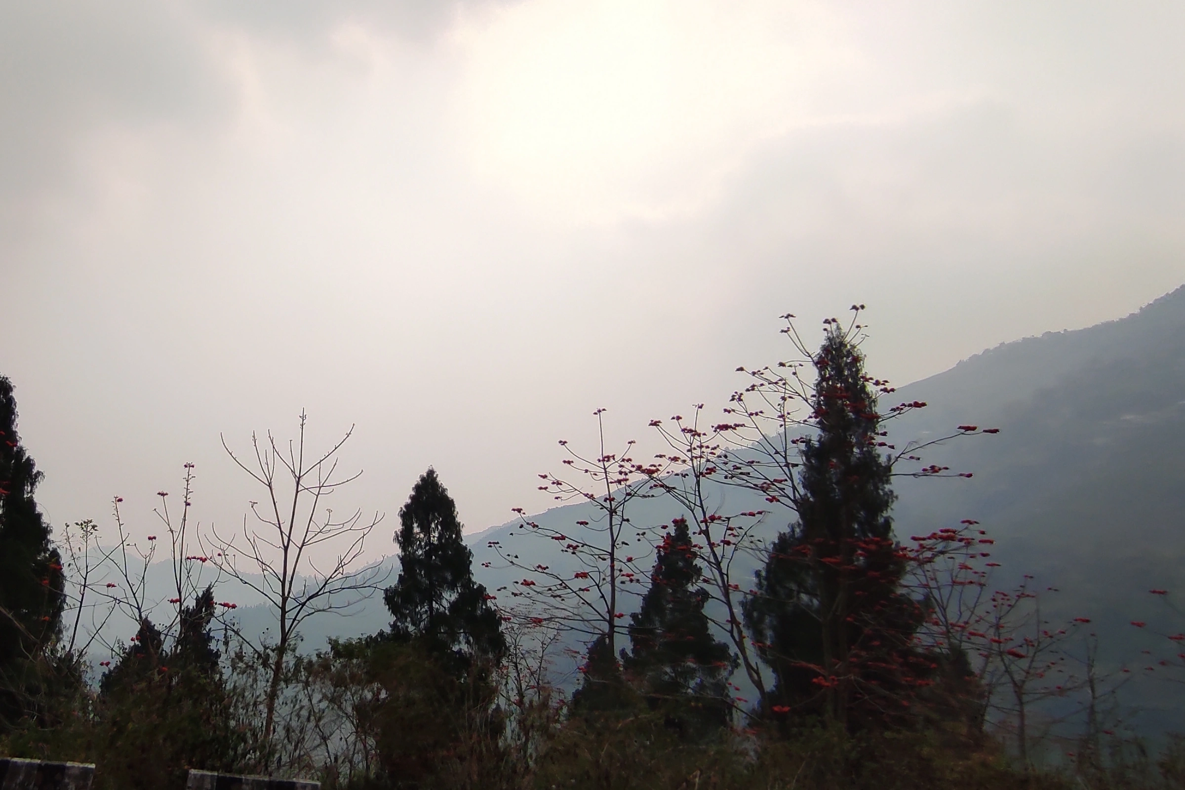 Siliguri[1].webp